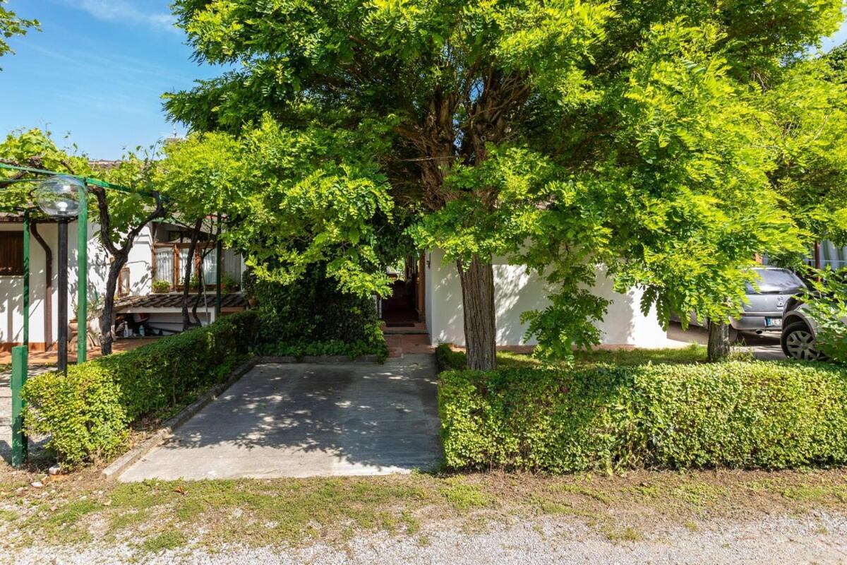 Chalet Sul Trasimeno SantʼArcangelo Εξωτερικό φωτογραφία