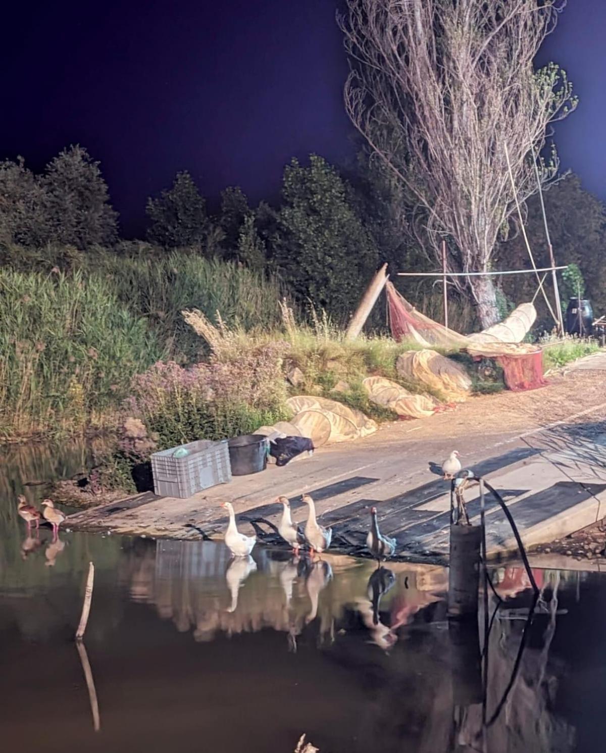 Chalet Sul Trasimeno SantʼArcangelo Εξωτερικό φωτογραφία